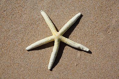 《上古卷轴5》首席设计师现已离开了B社